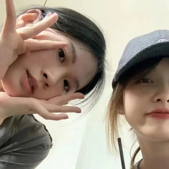 爱情鸟的自救