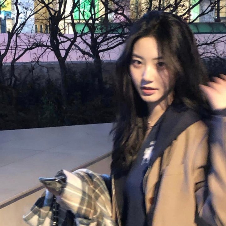 友趣的日子
